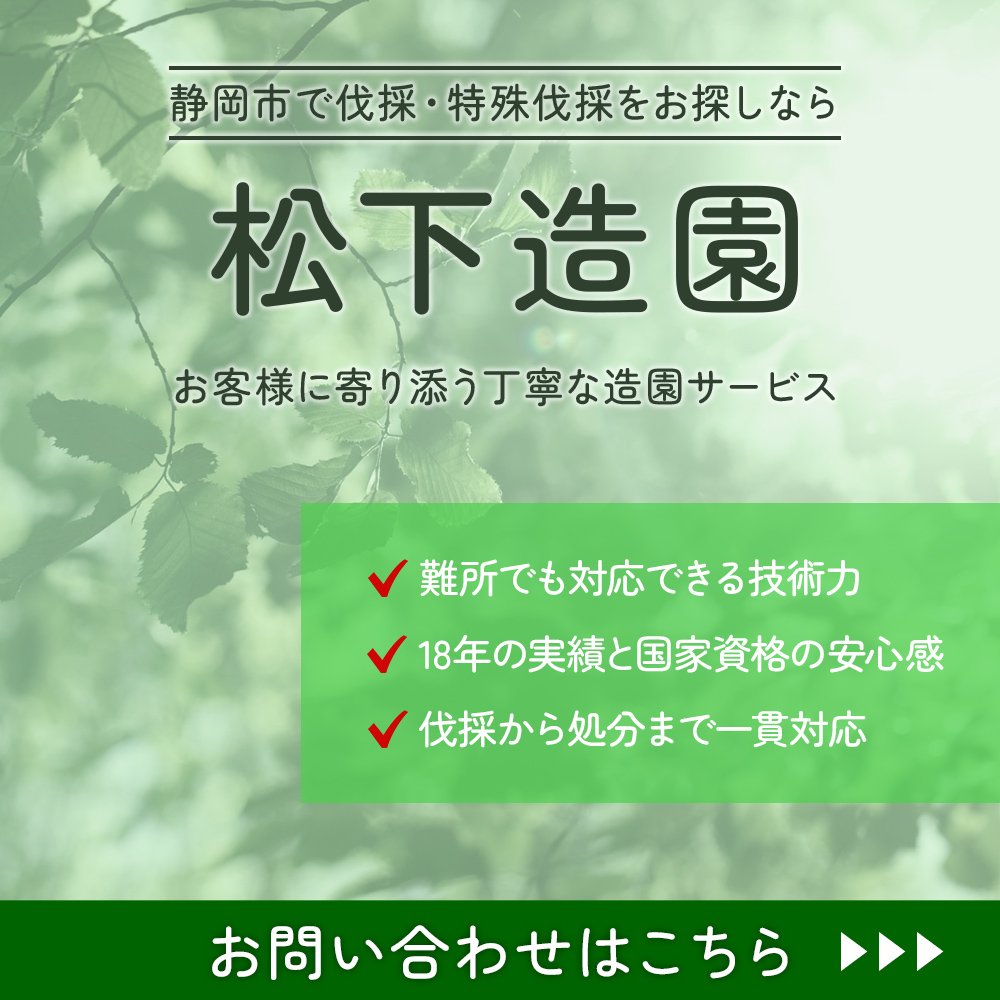 modal_banner